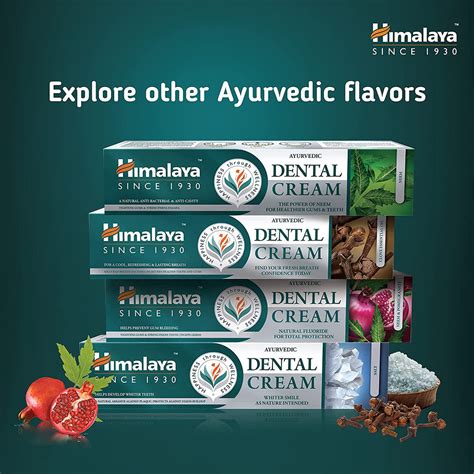 Himalaya Ayurvedic Dental Cream Herbal Toothpaste Clove 100 G Himalaya Wellness Europe