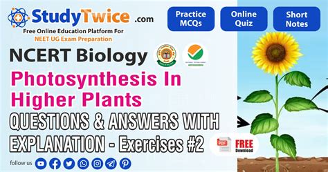 Photosynthesis In Higher Plants Neet Biology Questions Pdf