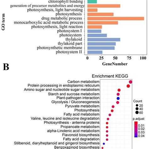 A Gene Ontology Go And B Kyoto Encyclopedia Of Genes And Genomes