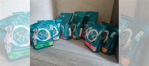Purina one Корм для кошек купить в Нижнем Новгороде | Животные и ...