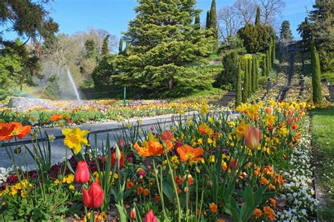 Insel Mainau The Flower Island Of Lake Constance Best Flower Site