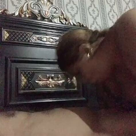 Pakistani Husband Fucks Real Wife Free Porn 56 XHamster XHamster