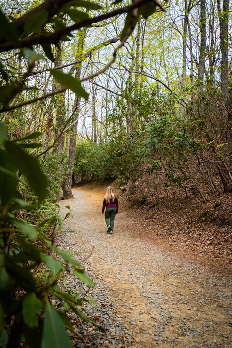 Hanging Rock State Park - Ultimate Travel Guide - Lost In The Carolinas