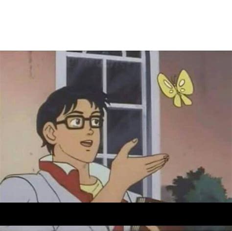 Que Clase De Mariposa Es Esta Meme