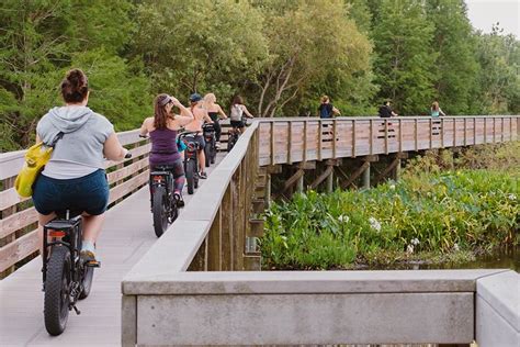 Safety Harbor Hidden Trails Guided E-Bike Adventure With Dessert | PT