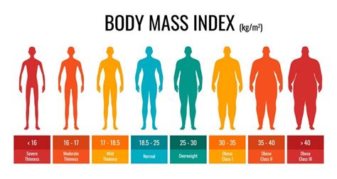 What Is Body Mass Index Bmi Zitoc