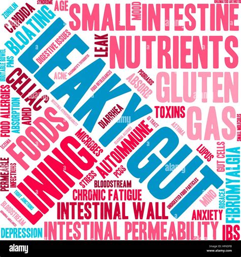 Leaky Gut Word Cloud On A White Background Stock Vector Image And Art Alamy