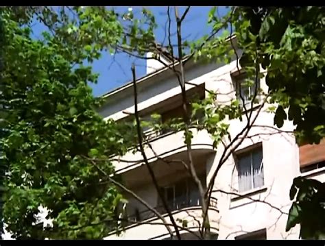 Gator 555 French Blowjob Blowjob Porn XHamster