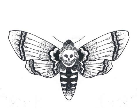 Skull Moth Tattoo Design Sketch Coloring Page