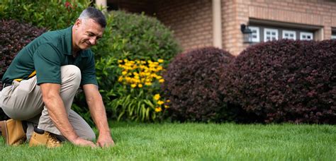 Lawn Care And Weed Control Services Weed Man