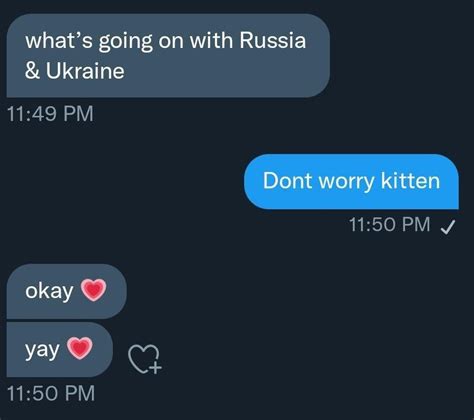 What S Going On With Ukraine Don T Worry Kitten Okay Yay Text