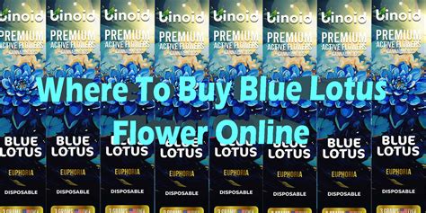 Buy Blue Lotus Online Blue Lotus Hemp Flower