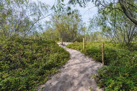 Sendero En Reserva Natural Para Aves Llamado Mewia Lacha En La Isla