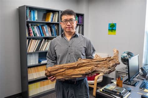 Ancient Log Shows Burying Wood Can Store Carbon