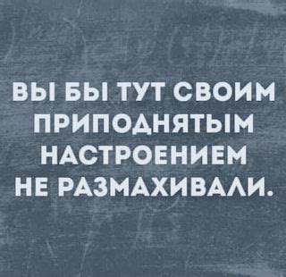 ВЫ БЫ ТУТ СВОИМ ПРИПОДНЯТЫ М НАСТРОЕНИЕМ НЕ РАЗМАХИВАЛИ. - АйДаПрикол ...
