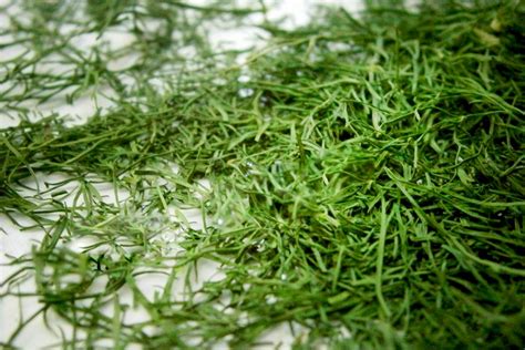 How To Dry Herbs at Home. Preserve Color and Aroma. – Cook It