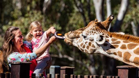 | Taronga Conservation Society Australia