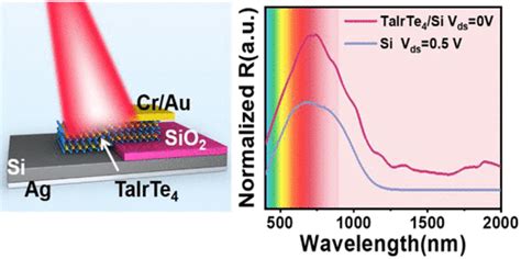 用于自供电肖特基光电探测器的外尔半金属 TaIrTe4 Si 纳米结构 ACS Applied Nano Materials X MOL