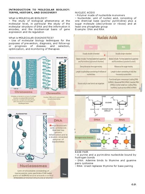 Introduction To Molecular Biology | PDF | Gene | Dna