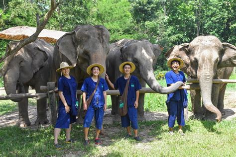 The Chang Chiang Mai Your Next Insta Worthy Nature Escape