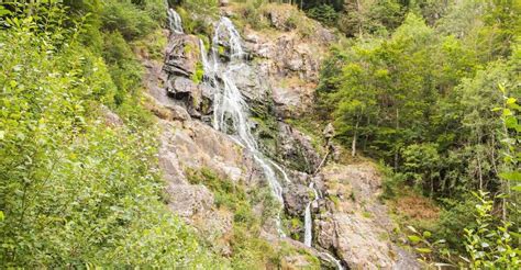 Rundweg Zum Todtnauer Wasserfall BERGFEX Wanderung Tour Baden