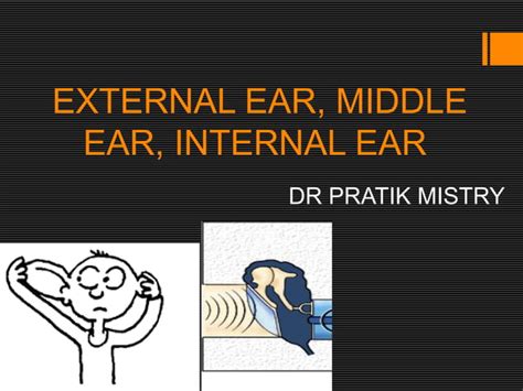 Anatomy Of Ear Ppt