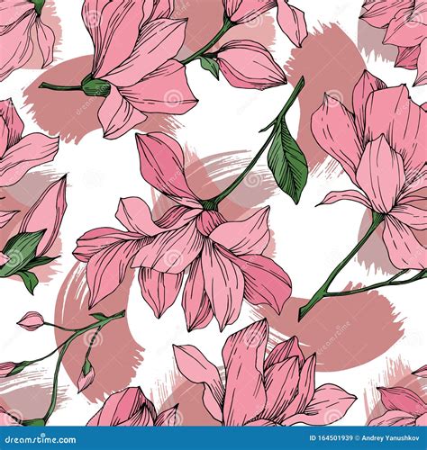 Vector Magnolia Fiori Botanici Floreali Arte Di Inchiostro Incisa In