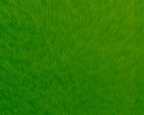 Textura De Grama Verde Fonte Natural Vetor Premium