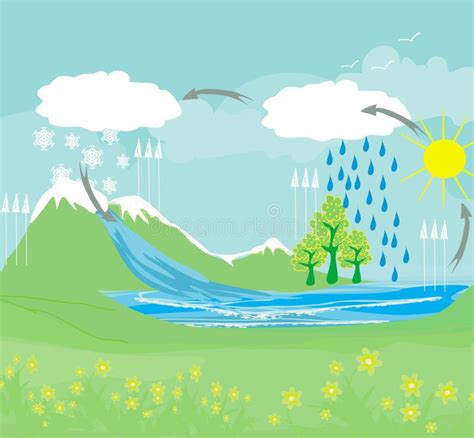 Infografía Del Ciclo Del Agua En Las Montañas Naturales Nubes De Sol