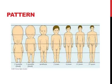 Postnatal Growth Of Cranio Facial Structures Ppt