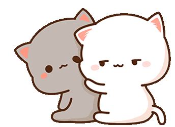 Cats Hug Sticker - Cats Hug - Discover & Share GIFs