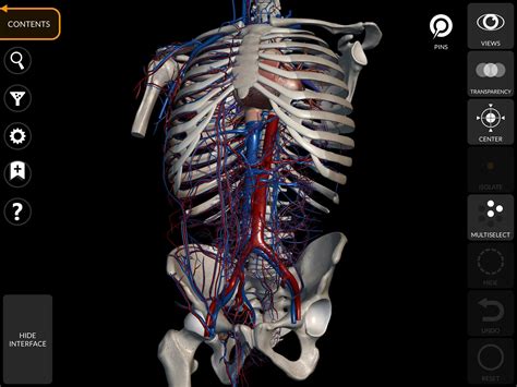 Anatomy learning 3d