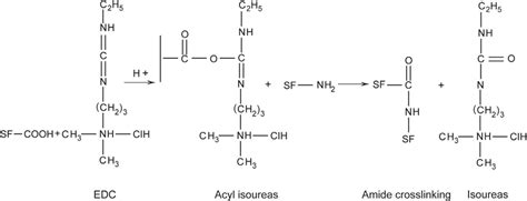 The reaction mechanism of the carboxyl group and amino group in EDC ...