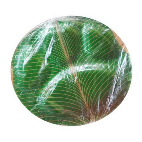 Green Banana Leaf Paper Plate At Rs Packet Disposable Banana Plate