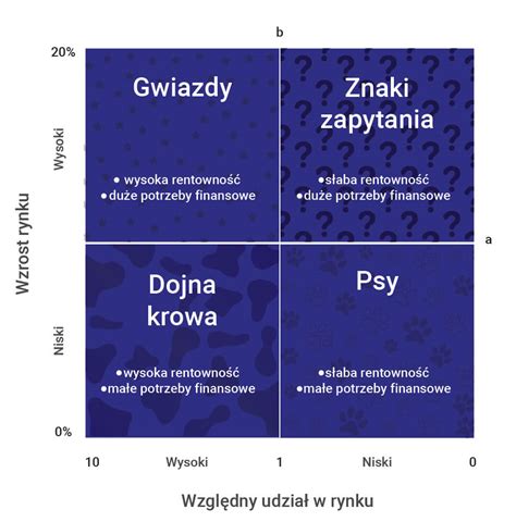 Czym Jest Macierz BCG