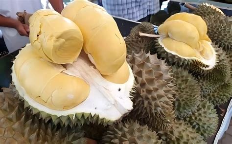 Wochenblitz News Durian Und Alkohol Eine T Dliche Kombination