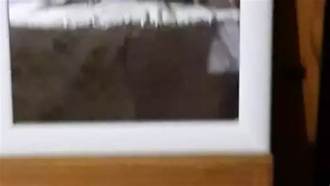 Free Bbw Tits Porn Videos Xhamster