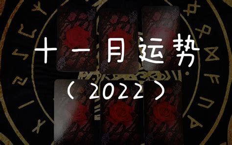 【龙女塔罗】十一月运势（2022） 哔哩哔哩