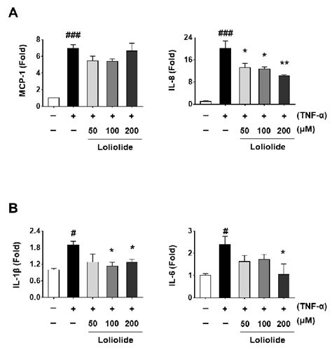 Cell Viability And Morphology In Loliolide Treated Arpe Cells