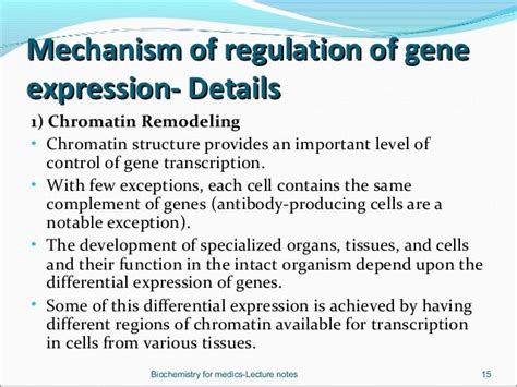 Regulation of gene expression in eukaryotes