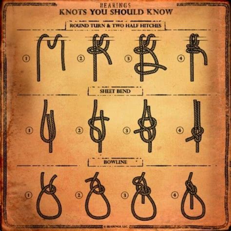 7 Twitter Survival Knots Survival Skills Knots