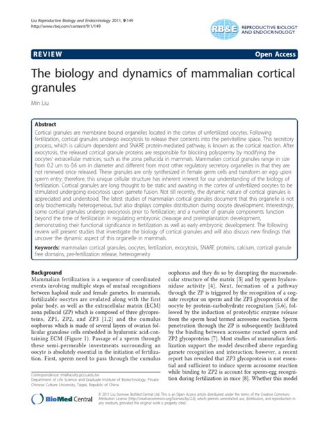 Cortical Granule Function | PDF | Fertilisation | Cell Biology