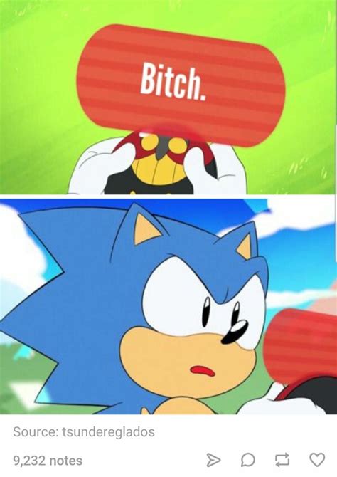 Hedgehog Meme Sonic The Hedgehog Shadow The Hedgehog Sonic Funny