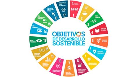 Naciones Unidas Objetivos De Desarrollo Sostenibles Realizarse