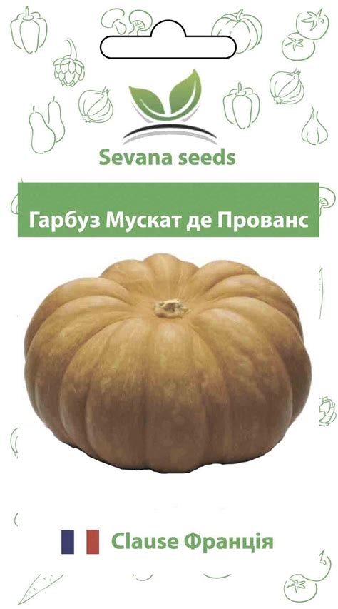 Семена тыквы Мускат де Прованс 10 шт Clause – фото, отзывы ...