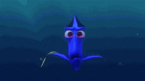 Dory GIFs - Find & Share on GIPHY