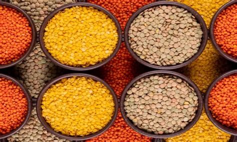 indias lentil production ias exam