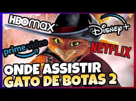 Onde Assistir Gato De Botas 2 Maternidade Hospital Octaviano Neves