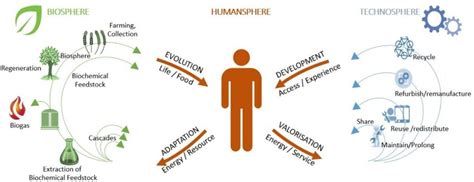 The Humansphere In The Circular Economy Lemille 2017a Adapted From