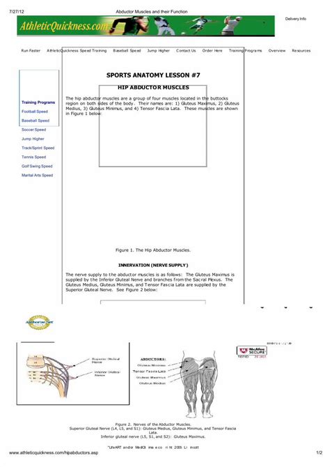 (PDF) Abductor Muscles and Their Function - DOKUMEN.TIPS